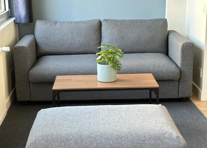 Apartamento Le Secret De L'architecte : Proche Centre Et Gare Dijon